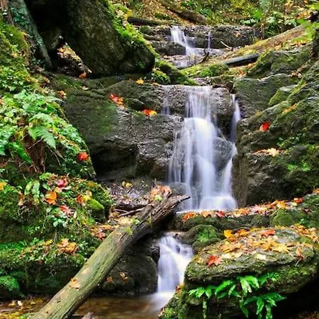 펜션 Maison Au Calme Dans Un Domaine Boise Hastiere-par-dela