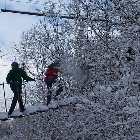 Ferienhaus Maison Au Calme Dans Un Domaine Boise *