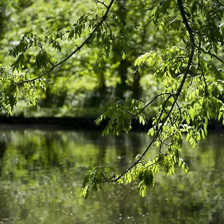 Maison Au Calme Dans Un Domaine Boise