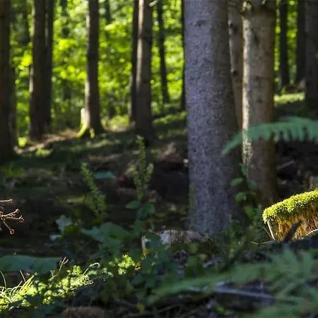 펜션 Maison Au Calme Dans Un Domaine Boise