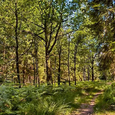 Maison Au Calme Dans Un Domaine Boise * Hastiere-par-dela
