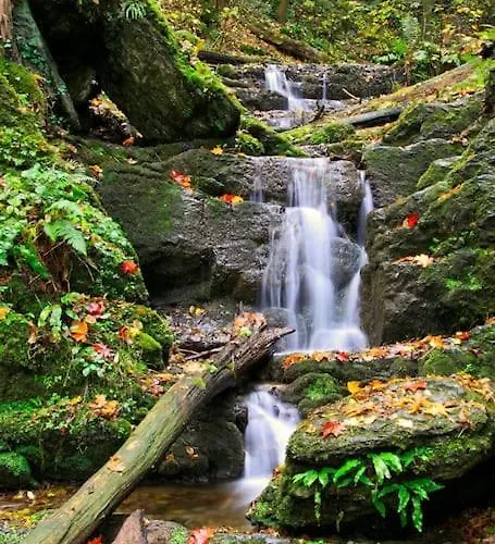 Holiday home Maison Au Calme Dans Un Domaine Boise Hastiere-par-dela