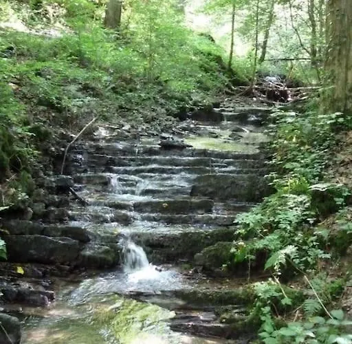 Holiday home Maison Au Calme Dans Un Domaine Boise